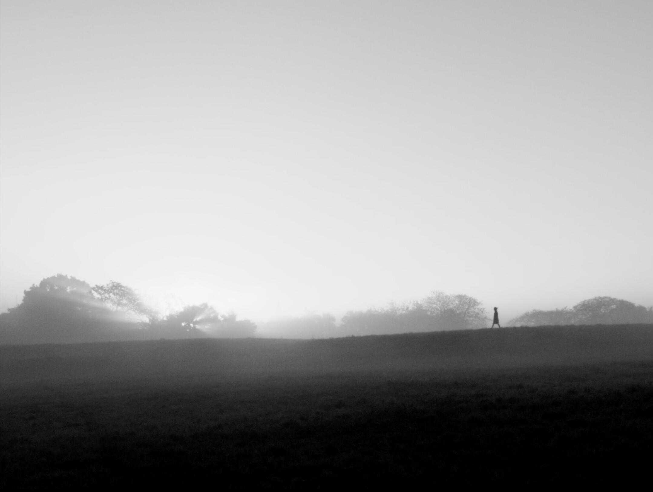 La Laguna. Dir: Susel Legón. Fiction. 3 min. Cuba, 2022